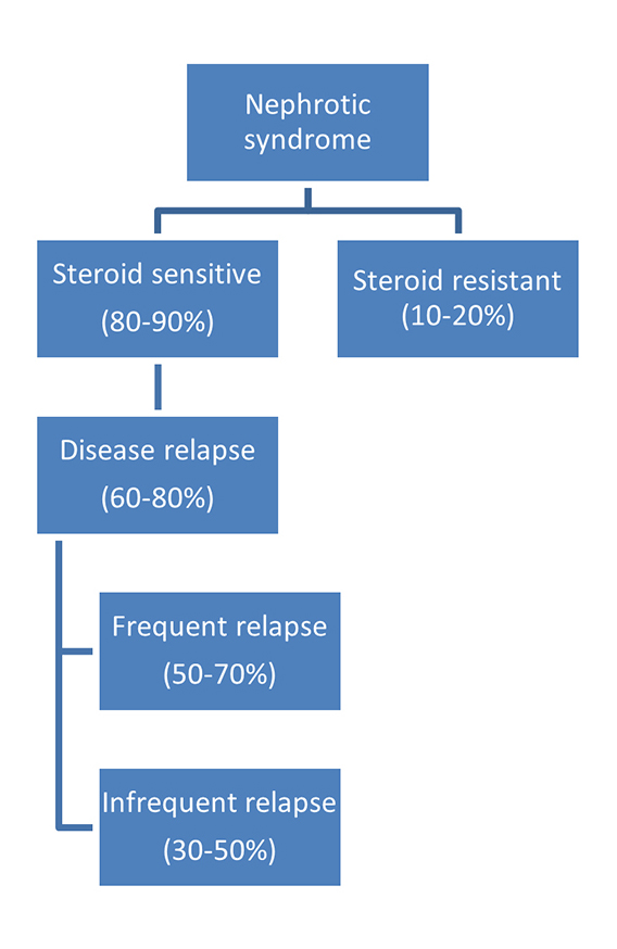 Nephrotic Syndrome response to treatment